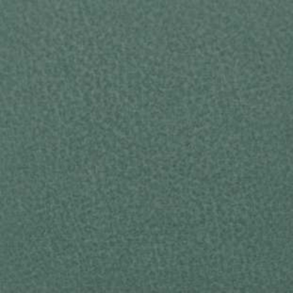 NOVEL POLYESTER PET FRIENDLY  UPHOLSTERY FABRICS B