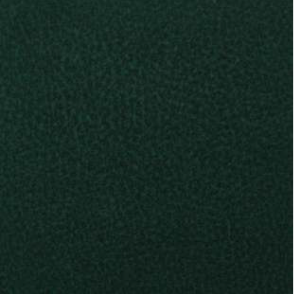 NOVEL POLYESTER PET FRIENDLY  UPHOLSTERY FABRICS C
