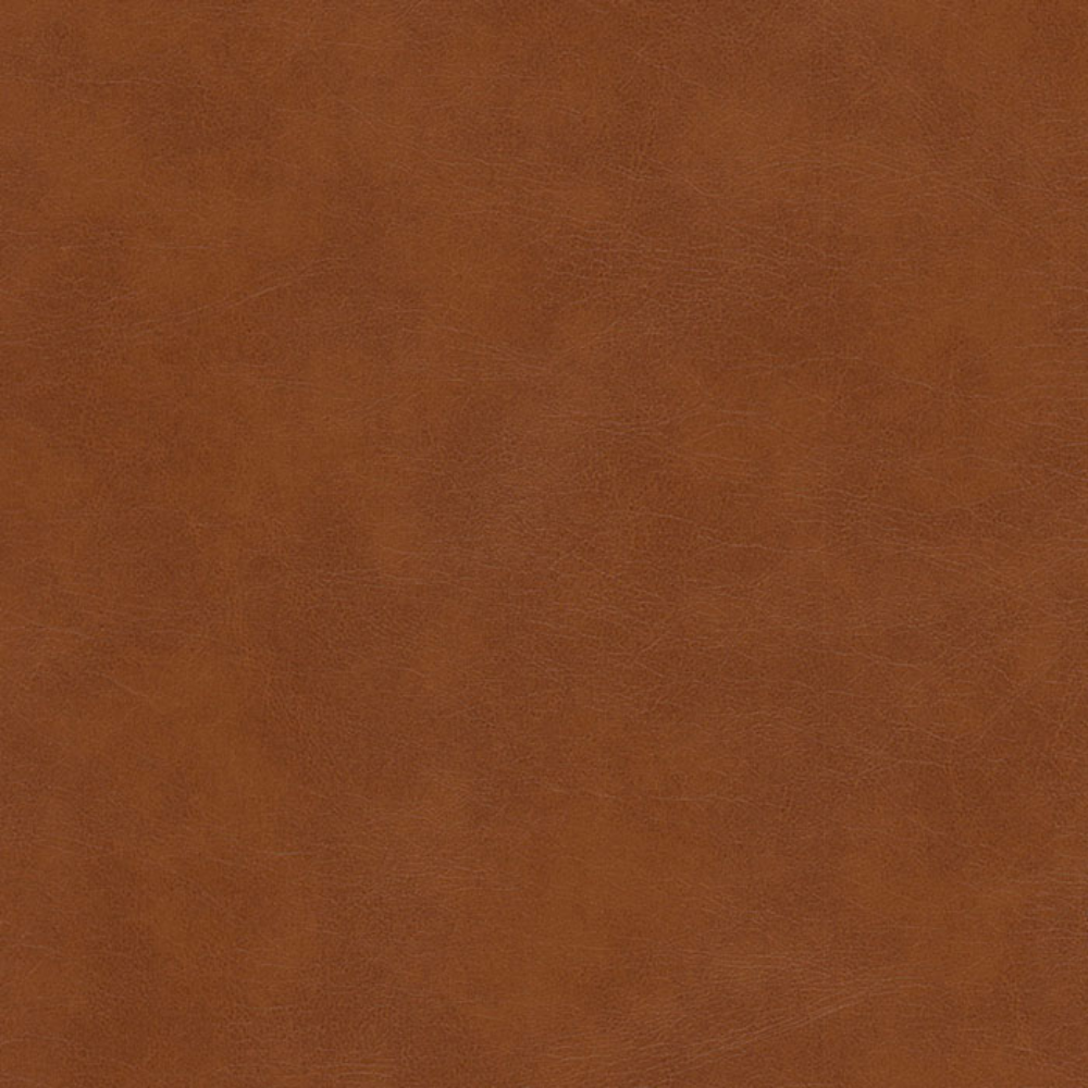 ZOFFANY  HOLLAND LEATHERITE UPHOLSTERY FABRICS A