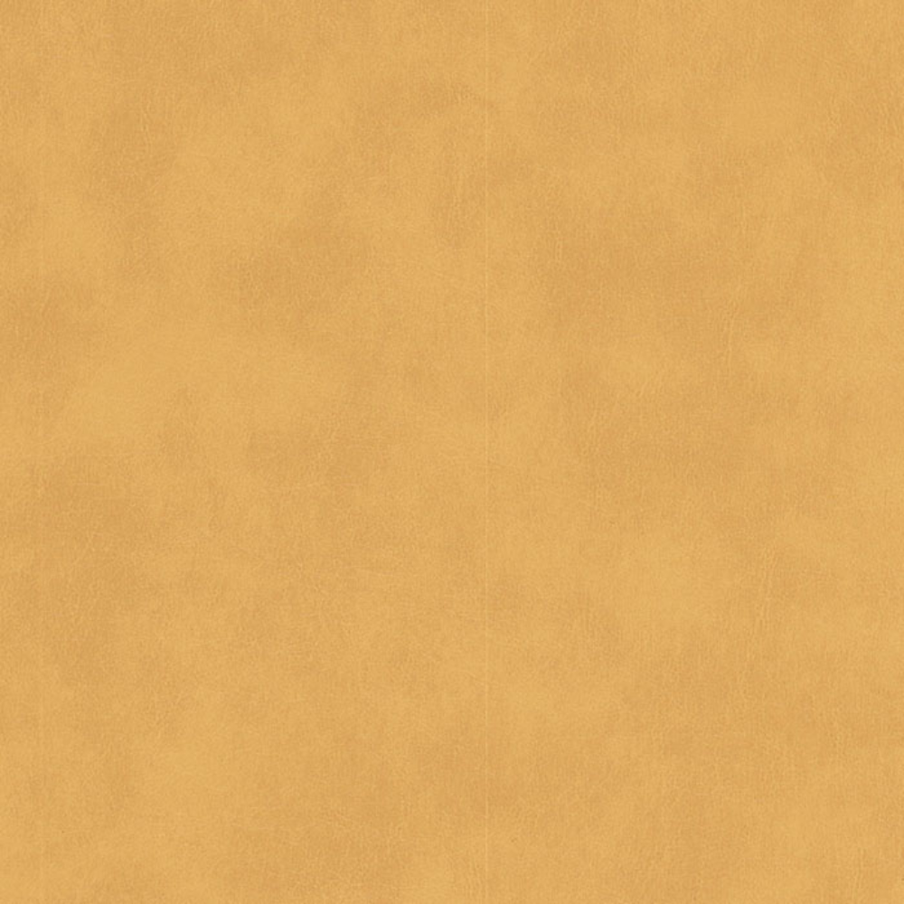 ZOFFANY  HOLLAND LEATHERITE UPHOLSTERY FABRICS B